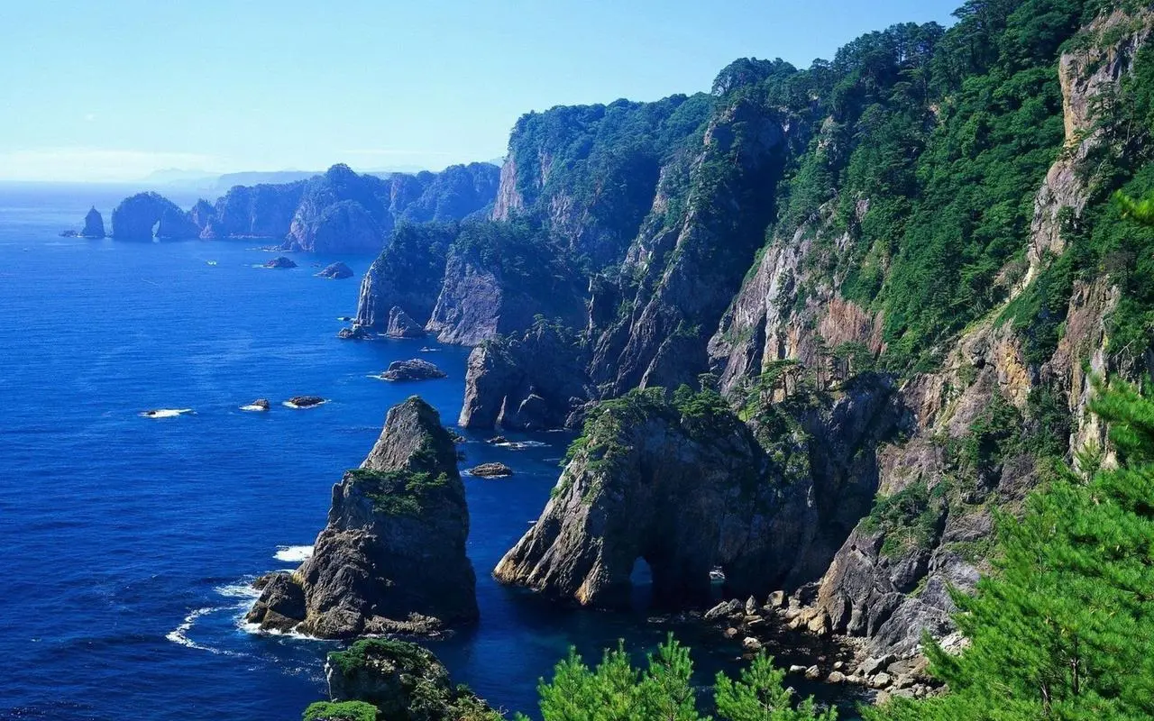 全自动绿色高性能